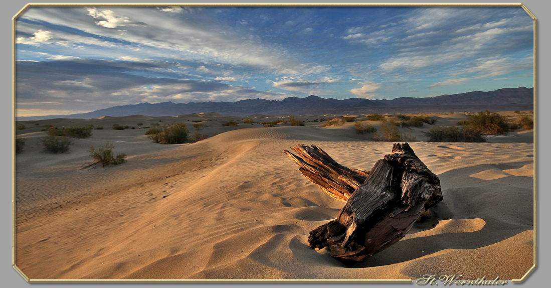 Imperial Sand Dunes