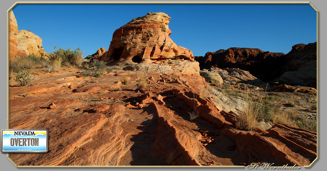 Saguaro Nationalpark